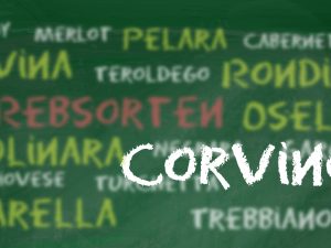 Die Rebsorten des Valpolicella: Corvinone