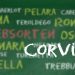 Valpolicella Rebsorten – Teil 3: Corvinone