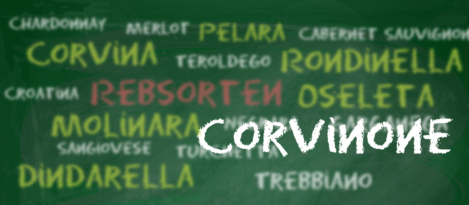 Die Rebsorten des Valpolicella: Corvinone